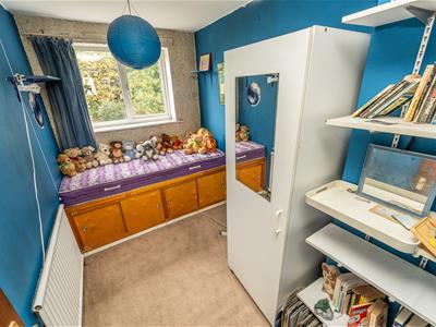 Picture 30